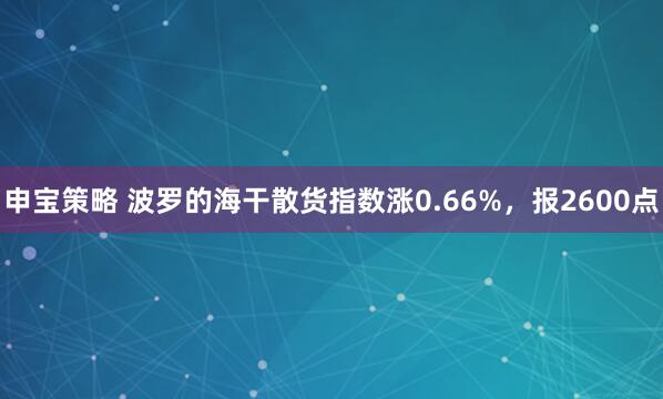 申宝策略 波罗的海干散货指数涨0.66%，报2600点